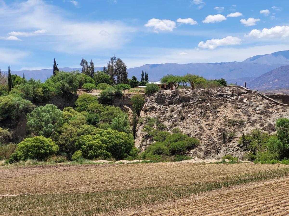 Casa De Campo Huaka Huasy Cachí Dış mekan fotoğraf